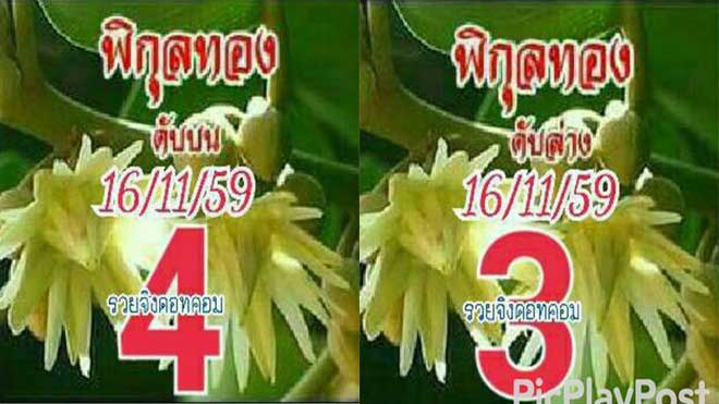 เลขดับพิกุลทอง16/11/2559