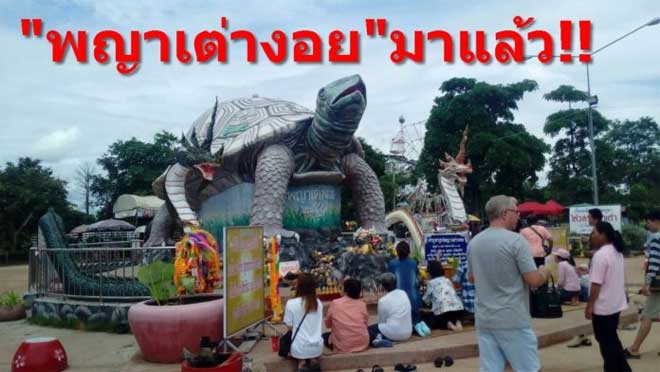 เลขเด็ดงวดนี้ เลขพญาเต่างอย 1 ธันวาคม 2559