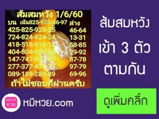 เลขเด็ดส้มสมหวัง1/6/2560 – เข้า3ตัวกลับ