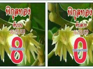 เลขดับพิกุลทอง16/12/2559 – เลขดับงวดนี้