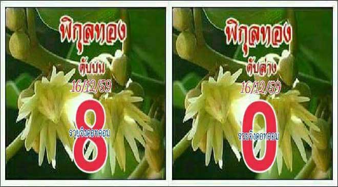 เลขดับพิกุลทอง16/12/2559