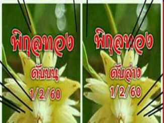 เลขดับพิกุลทอง1/2/2560 – เลขดับงวดนี้