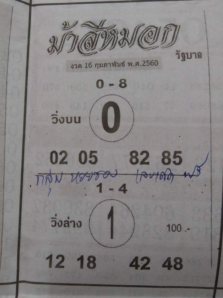 ม้าสีหมอก16/2/2560, ม้าสีหมอก16-2-2560, ม้าสีหมอก 16 ก.พ 2560, ม้าสีหมอก