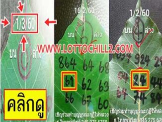 เลขจากใบโพธิ์1/3/2560 เข้าติด 2 งวดซ้อน