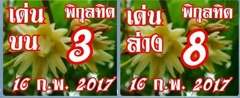 เลขดับพิกุลทอง16/2/2560, เลขดับพิกุลทอง16/2/2560, เลขดับพิกุลทอง16 กพ 2560, เลขดับ