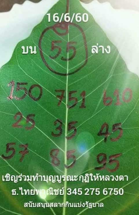 เลขจากใบโพธิ์16/6/2560, เลขจากใบโพธิ์16-6-2560, เลขจากใบโพธิ์16 มิ.ย. 2560, เลขจากใบโพธิ์, หวยซอง