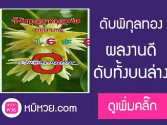 เลขดับพิกุลทอง16/6/2560 ผลงานดี