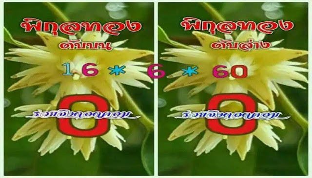 เลขดับพิกุลทอง16/6/2560, เลขดับพิกุลทอง16-6-2560, เลขดับพิกุลทอง16 มิ.ย. 2560, เลขดับ, เลขดับพิกุลทอง