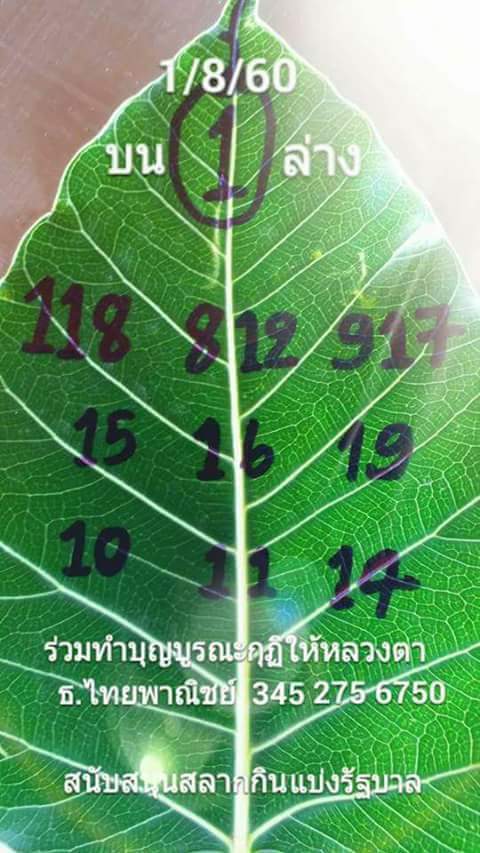 เลขใบโพธิ์1/8/60, เลขใบโพธิ์1-8-60, เลขใบโพธิ์1 ส.ค. 2560, เลขจากใบโพธิ์, หวยซอง