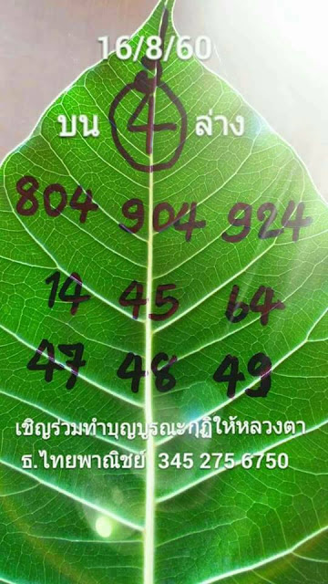 เลขใบโพธิ์16/8/60, เลขใบโพธิ์16-8-60, เลขใบโพธิ์16 ส.ค. 2560, เลขจากใบโพธิ์, หวยซอง