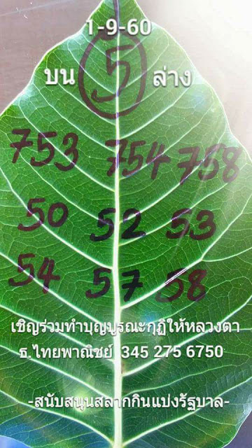 เลขใบโพธิ์1/9/60, เลขใบโพธิ์1-9-60, เลขใบโพธิ์1 ก.ย. 2560, เลขจากใบโพธิ์, หวยซอง