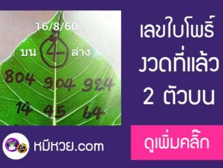 เลขใบโพธิ์16/8/60 เข้า 2 ตัวบน