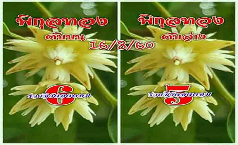 เลขดับพิกุลทอง 16/8/60, เลขดับพิกุลทอง 16-8-60, เลขดับพิกุลทอง 16 ส.ค. 60, เลขดับ, เลขดับพิกุลทอง