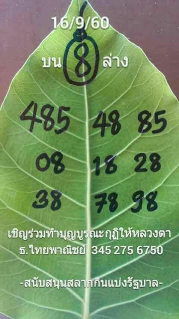 เลขใบโพธิ์16/9/60, เลขใบโพธิ์16-9-60, เลขใบโพธิ์16 ก.ย. 2560, เลขจากใบโพธิ์, หวยซอง