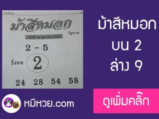 ม้าสีหมอก 16/10/60