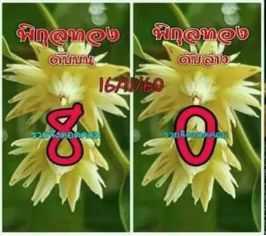 เลขดับพิกุลทอง 16/11/60, เลขดับพิกุลทอง 16-11-60, เลขดับพิกุลทอง 16 พ.ย. 60, เลขดับ, เลขดับพิกุลทอง