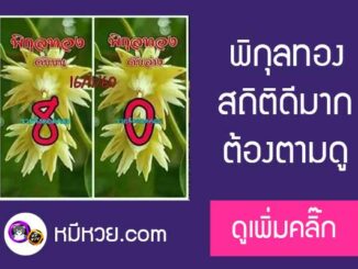 เลขดับพิกุลทอง 16/11/60 ต้องตาม