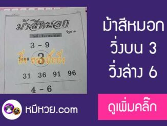 ม้าสีหมอก 1/12/60 หวยเด็ดงวดนี้