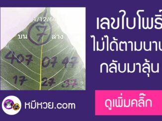 เลขใบโพธิ์1/12/60