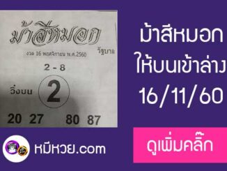 ม้าสีหมอก 16/11/60 หวยเด็ดงวดนี้