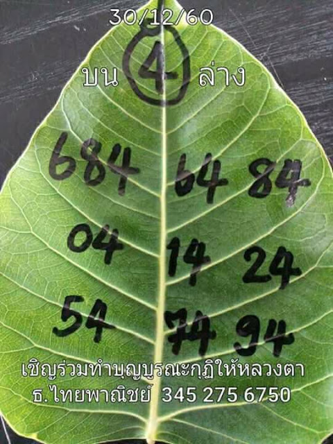 เลขใบโพธิ์30/12/60, เลขใบโพธิ์30-12-60, เลขใบโพธิ์30 ธ.ค. 2560, เลขจากใบโพธิ์, หวยซอง