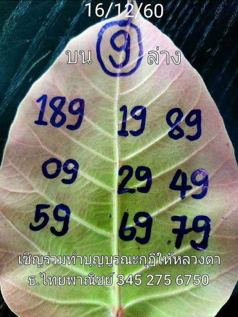 เลขใบโพธิ์16/12/60, เลขใบโพธิ์16-12-60, เลขใบโพธิ์16 ธ.ค. 2560, เลขจากใบโพธิ์, หวยซอง