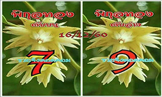 เลขดับพิกุลทอง 16/12/60, เลขดับพิกุลทอง 16-12-60, เลขดับพิกุลทอง 16 ธ.ค. 60, เลขดับ, เลขดับพิกุลทอง