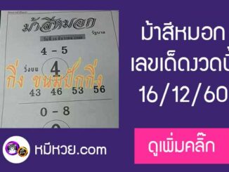 ม้าสีหมอก 16/12/60 หวยเด็ดงวดนี้