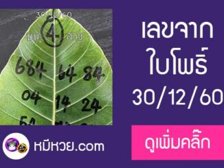 เลขใบโพธิ์30/12/60