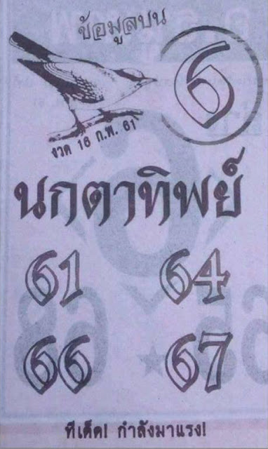 หวยซองนกตาทิพย์16/2/61, หวยซองนกตาทิพย์16-2-61, หวยซองนกตาทิพย์16 ก.พ. 61, หวยซองนกตาทิพย์, หวยซอง, เลขเด็ดงวดนี้