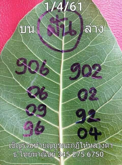 เลขใบโพธิ์1/4/61, เลขใบโพธิ์1-4-61, เลขใบโพธิ์1 เมษายน 61