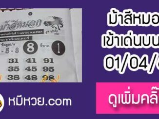 ม้าสีหมอก 1/4/61 หวยเด็ดงวดนี้