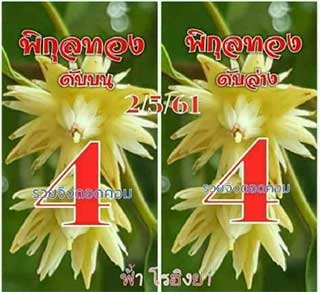 เลขดับพิกุลทอง 2/5/61, เลขดับพิกุลทอง 2-5-61, เลขดับพิกุลทอง 2 พ.ค. 61, เลขดับ, เลขดับพิกุลทอง