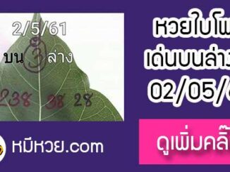 เลขใบโพธิ์2/5/61