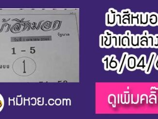 ม้าสีหมอก 16/4/61 หวยเด็ดงวดนี้