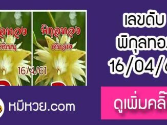 เลขดับพิกุลทอง 16/4/61 ต้องตาม