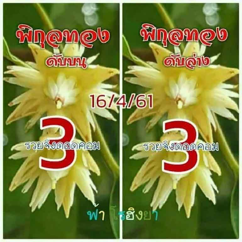 เลขดับพิกุลทอง 16/4/61, เลขดับพิกุลทอง 16-4-61, เลขดับพิกุลทอง 16 เม.ย. 61, เลขดับ, เลขดับพิกุลทอง