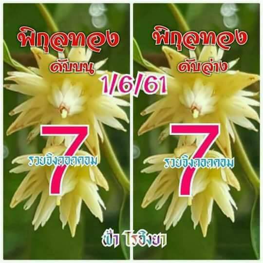 เลขดับพิกุลทอง 1/6/61, เลขดับพิกุลทอง 1-6-61, เลขดับพิกุลทอง 1 มิ.ย. 61, เลขดับ, เลขดับพิกุลทอง