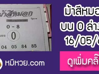 ม้าสีหมอก 16/5/61 หวยเด็ดงวดนี้