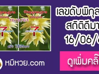 เลขดับพิกุลทอง 16/6/61 ต้องตาม