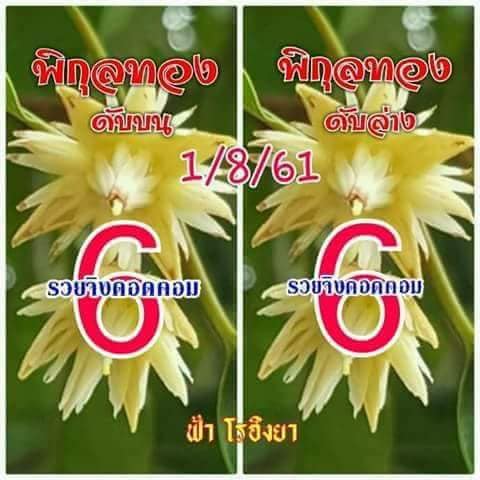 เลขดับพิกุลทอง 16/7/61, เลขดับพิกุลทอง 16-7-61, เลขดับพิกุลทอง 16 ก.ค. 61, เลขดับ, เลขดับพิกุลทอง