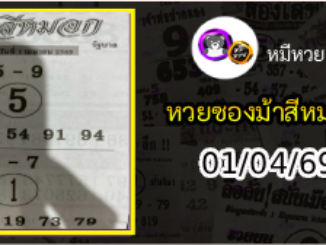 เลขเด็ดงวดนี้ม้าสีหมอก 01/04/69