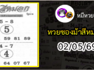 เลขเด็ดงวดนี้ม้าสีหมอก 02/05/69