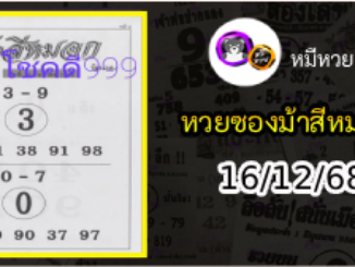 เลขเด็ดงวดนี้ม้าสีหมอก 16/12/68