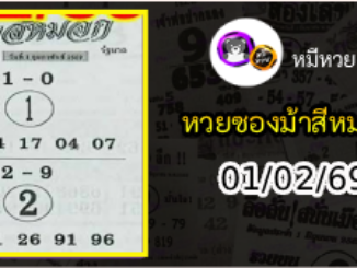 เลขเด็ดงวดนี้ม้าสีหมอก 02/01/69