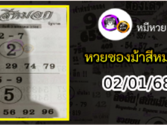 เลขเด็ดงวดนี้ม้าสีหมอก 02/01/68