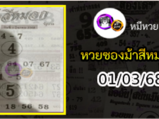 เลขเด็ดงวดนี้ม้าสีหมอก 01/03/68