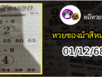 เลขเด็ดงวดนี้ม้าสีหมอก 01/12/68
