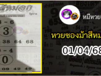 เลขเด็ดงวดนี้ม้าสีหมอก 01/04/68