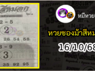 เลขเด็ดงวดนี้ม้าสีหมอก 16/10/68